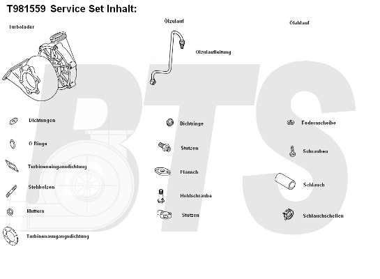 Compresor,sistem de supraalimentare T981559 BTS Turbo